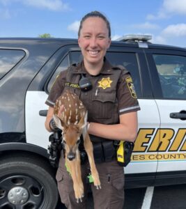 Sheriff’s Deputy Helps Citizen Rescue a Fawn in Charles County