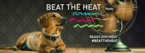 Calvert Public Safety Issues Animal Safety Alert for July 8-11, 2024 Due to Heat