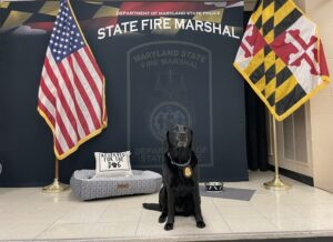 K9 Kachina Retires from the Office of the State Fire Marshal After 8 Years of Service
