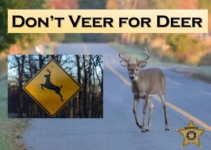 Don’t Veer for Deer! Police Advise Citizens of White-Tailed Deer Season