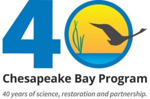 Oyster Reef Restoration Goal in Reach for Chesapeake Bay Program Partners