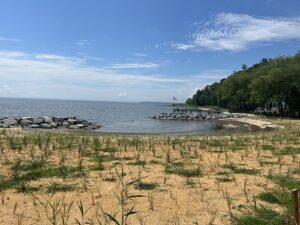Four Living Shoreline Projects Enhance Climate Resilience in Anne Arundel County