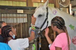 Children and Teen Grief Program Returns to Maryland Therapeutic Riding