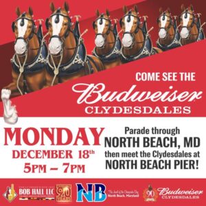 See the Budweiser Clydesdales in North Beach on Monday, December 18, 2023