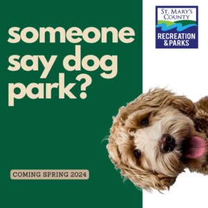 3 New Dog Parks Coming to St. Mary’s County, Along With Improvements Coming to Lancaster Park