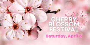 Community Garden Ribbon Cutting Announced; Join Us at the Annual Cherry Blossom Festival to Celebrate!