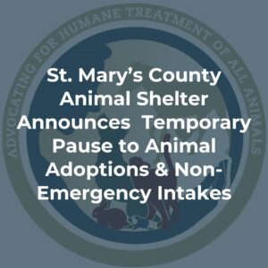 St. Mary’s County Animal Shelter Announces Temporary Pause to Adoptions & New Animal Intakes Due to Outbreak of Respiratory Illness