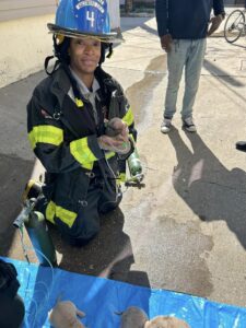 Anne Arundel County Firefighters Respond to 2-Alarm House Fire in Baltimore City, One Citizen and Multiple Puppies Saved