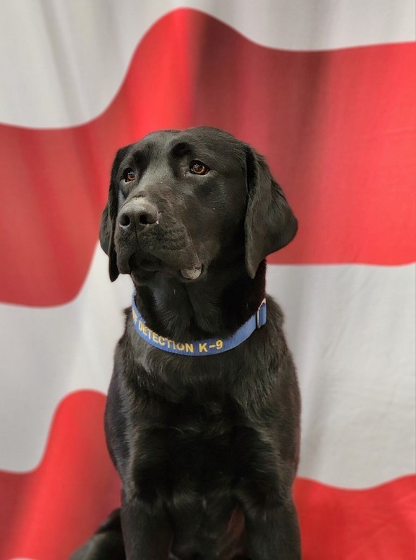 K9 Taylor Joins the Office of the State Fire Marshal