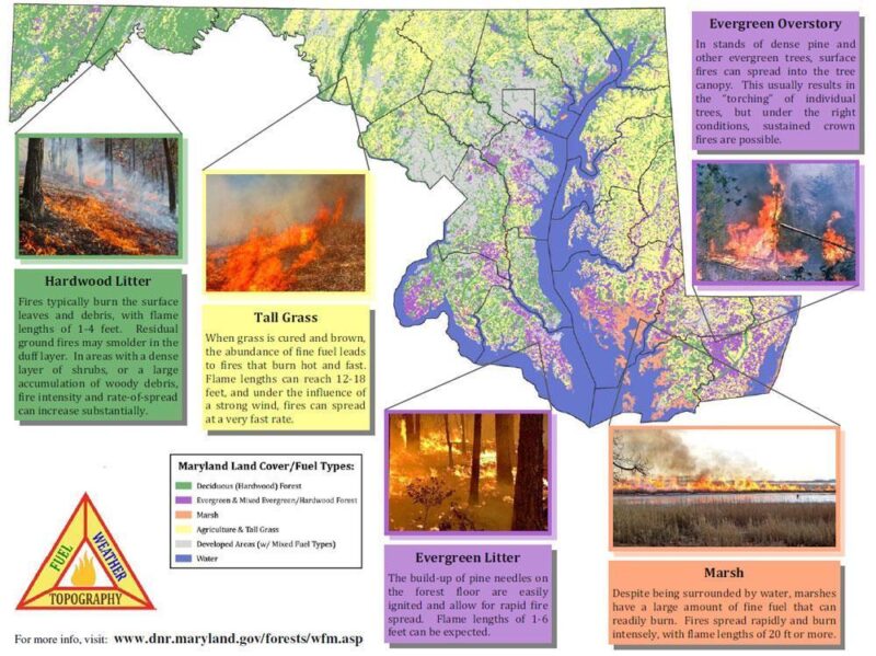Maryland Wildfires – Safety Precautions and Tips to Take