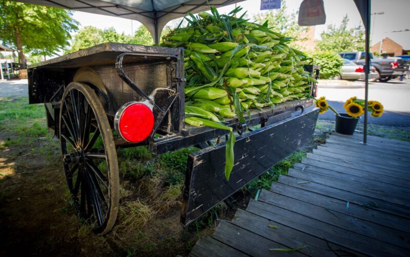 corn farmers market cart