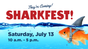 SHARKFEST! at Calvert Marine Museum This Saturday, July 13, 2024