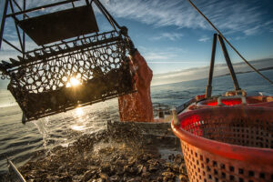 Maryland’s Oyster Fishery Experienced Robust Harvest in the 2023-2024 Season