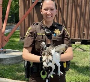 Charles County Sheriff’s Office: Officer Ptack’s Act of Kindness Saves Distressed Osprey