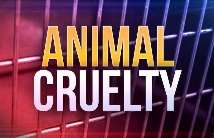 Lusby Woman Faces Multiple Charges for Animal Cruelty After Dogs Found ...