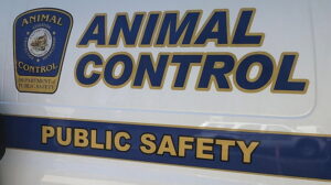 Chesapeake Beach Woman Charged with 30 Counts of Animal Cruelty