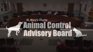 Summary of the St. Mary’s County Animal Control Advisory Board Meeting – 9/4/2024