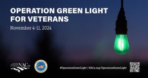 Operation Green Light 2024