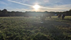 Rural Legacy Farmers and Partners Celebrate 25 Years of Preserving Maryland’s Bucolic Landscape and Working Farms