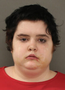 Lexington Park Woman Faces Multiple Charges Including Malicious Destruction of Property and False Statement to Police