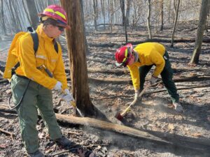 Despite Severe Fall Fire Weather, Maryland Wildfire Damage Less Extensive During 2024 Than Previous Year