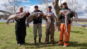 Get Hooked on Blue Catfish! Comprehensive List of 2025 Blue Catfish Fishing Tournaments in Maryland