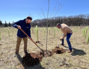 Secretary’s Message: A Tree Grows in Maryland – Every One Counts on the Way to 5 Million
