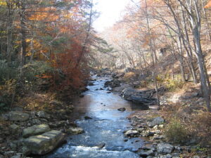 Public Comment Sought for 2026 Maryland State Forest Work Plans