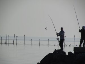 DNR Introduces New MD Outdoors Licensing System