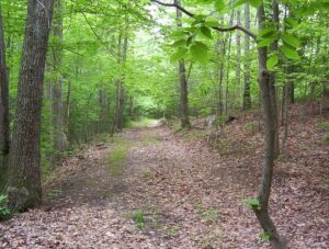 Board of Public Works Approves $3.3 Million for Recreation and Land Conservation in 8 Maryland Counties – Southern Maryland News Net