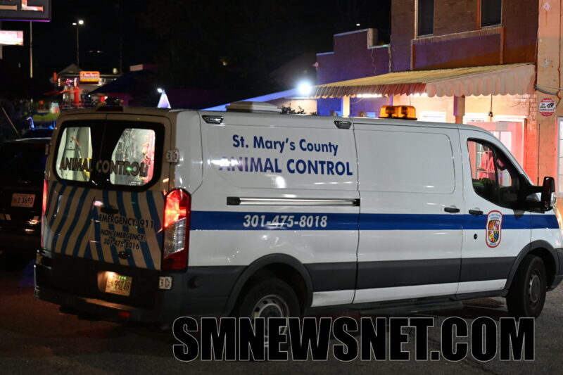 Serious Injuries After Dog Attack in Lexington Park, Police and Animal Control Investigating