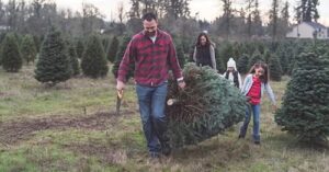 Don’t Trash The Tree! Recycle Live Christmas Trees at Calvert Convenience Centers Starting Today, December 26th