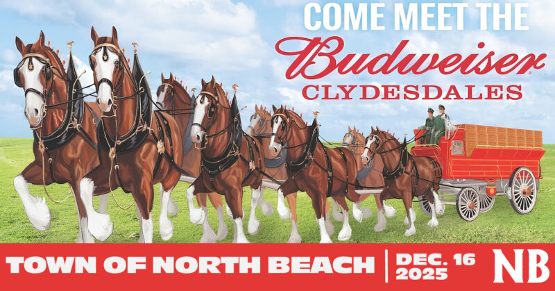 Bob Hall Beverage Company is Bringing the Budweiser Clydesdales to the Calvert County Christmas Parade & North Beach, Maryland on December 13 & 16