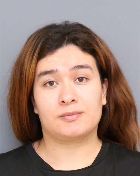 Man Allegedly Drove Accomplice to Commit Break-Ins at Multiple Waldorf Residences