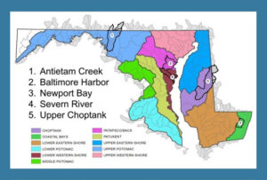 Whole Watershed Program Projects Prepare for Coordinated Restoration Work