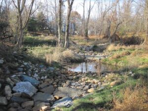 Free Trees Available for Maryland’s ‘Backyard Buffers’