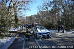 Serious Injuries Reported After Tree Falls on Vehicle in California