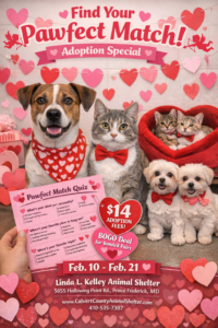 Find Your Pawfect Match at Linda L. Kelley Animal Shelter This February