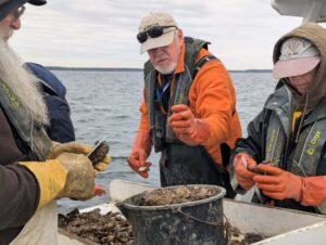 Governor Moore Announces Historic Year for Oyster Reproduction in Maryland Waters