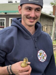 Quick Action by Volunteers Saves Duckling at SMVFA Parade in Solomons