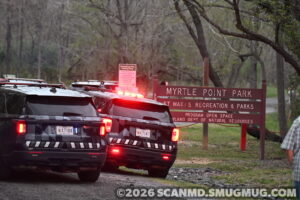 UPDATE: Police Arrest 17-Year-Old After 911 Callers Report Over 20 Shots Fired at Myrtle Point Park in California