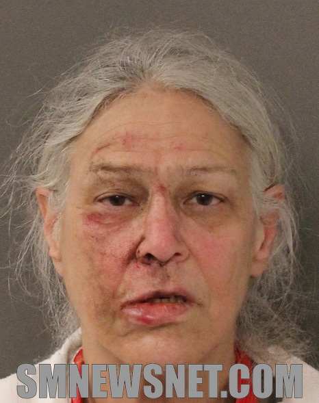 Hollywood Woman Charged With Assaulting Trooper During Hollywood Traffic Stop