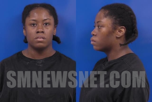North Beach Woman Arrested After Assaulting Family Member