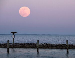 Moon Mythology and Maryland Wildlife: Spring Moons