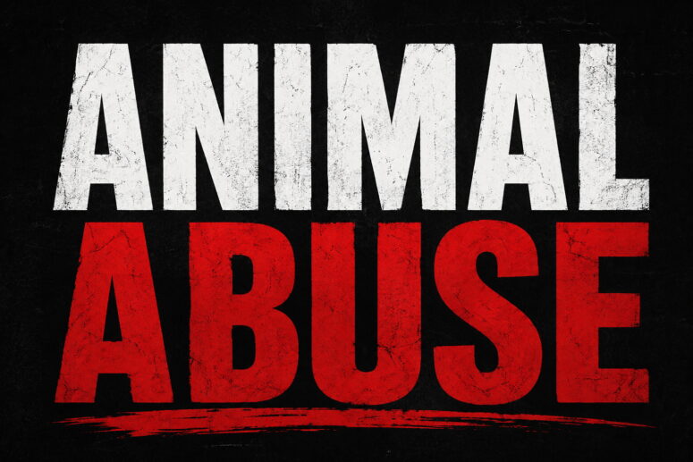 Chesapeake Beach Mother and Son Face 126 Animal-Related Charges in Calvert County Animal Neglect Case
