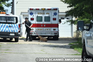 Pitbull Attacks Three Children in Lexington Park, One Flown to Children’s Center; Animal Control and Police Investigating