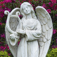 David Wayne Dove, Sr., 56,