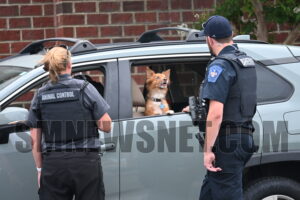 Man Cited After Leaving Dog Unattended in Hot Vehicle While Illegally Parked in California Target’s Fire Lane