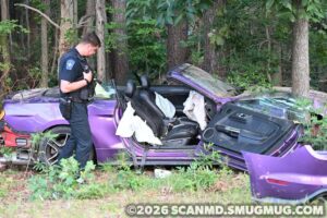 One Injured After Vehicle Strikes Tree in California
