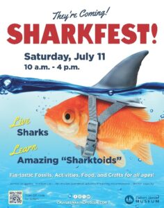 Sharkfest Returns to the Calvert Marine Museum with Live Sharks, Hands-On Activities, and Family Fun
